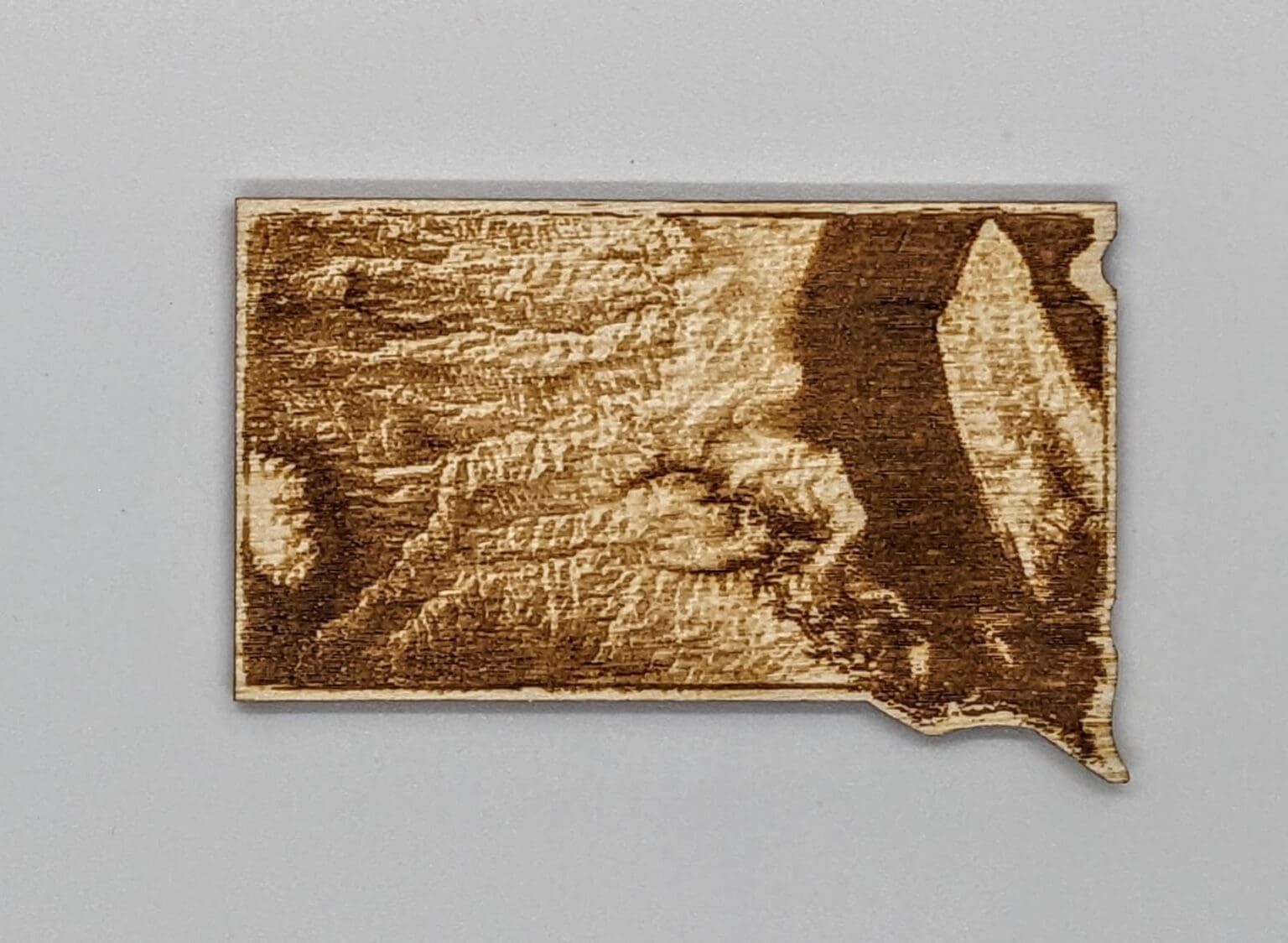 Custom South Dakota shaped wood magnet depicting the topography of the state