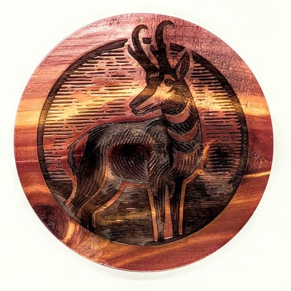 Custom prong horned antelope potrait coaster